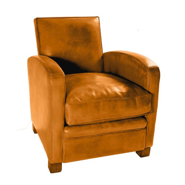 Fauteuil Natura 